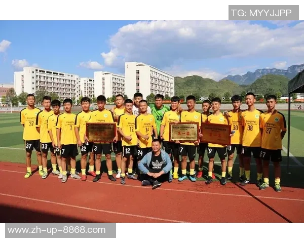 足球发展中的青训体系与职业联赛的关系探讨与思考